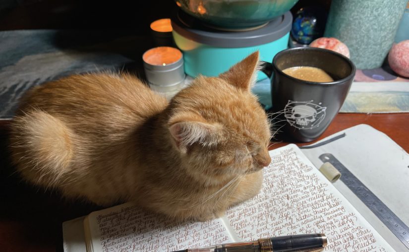 An orange cat sleeping on a journal with a fountain pen and a cup of coffee nearby.