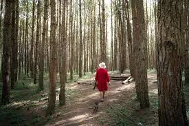 A lady in a red outfit walking through the trees