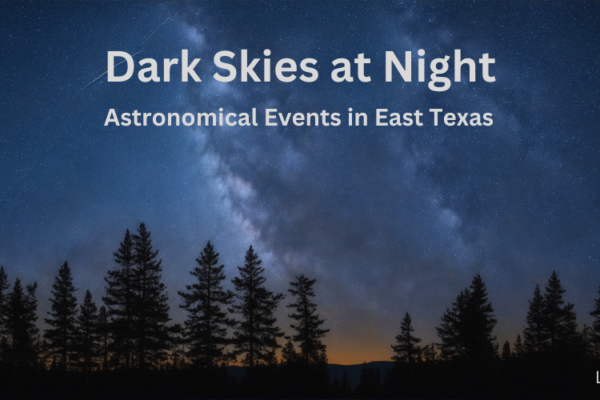 Header image. of dark East Texas sky with millions of stars