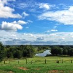 View of Mineola Nature Preserve